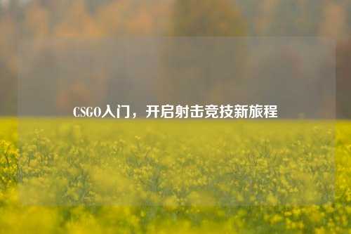CSGO入门，开启射击竞技新旅程
