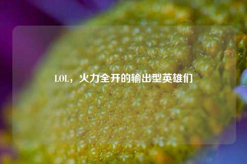 LOL，火力全开的输出型英雄们