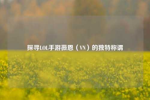 探寻LOL手游薇恩（VN）的独特称谓