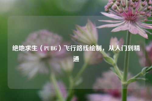 绝地求生（PUBG）飞行路线绘制，从入门到精通