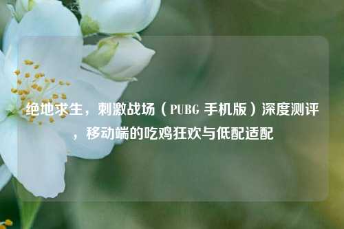 绝地求生，刺激战场（PUBG 手机版）深度测评，移动端的吃鸡狂欢与低配适配