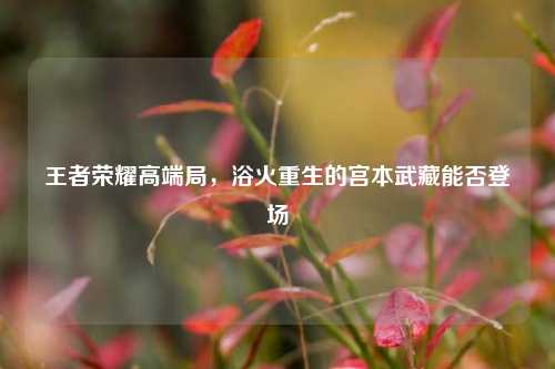 王者荣耀高端局，浴火重生的宫本武藏能否登场