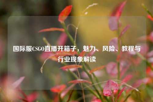 国际服CSGO直播开箱子，魅力、风险、教程与行业现象解读