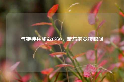 与特种兵酣战CSGO，难忘的竞技瞬间