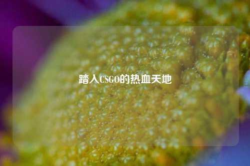 踏入CSGO的热血天地