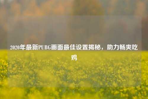 2020年最新PUBG画面最佳设置揭秘，助力畅爽吃鸡