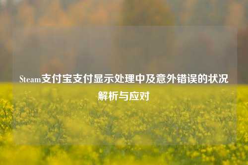 Steam支付宝支付显示处理中及意外错误的状况解析与应对