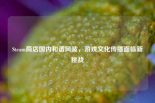 Steam商店国内和谐风波，游戏文化传播面临新挑战