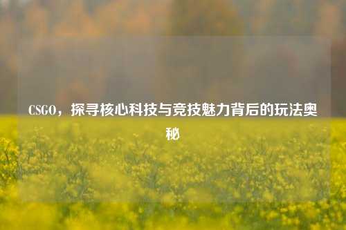 CSGO，探寻核心科技与竞技魅力背后的玩法奥秘