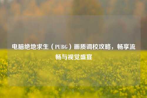 电脑绝地求生（PUBG）画质调校攻略，畅享流畅与视觉盛宴