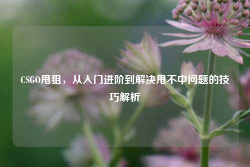CSGO甩狙，从入门进阶到解决甩不中问题的技巧解析