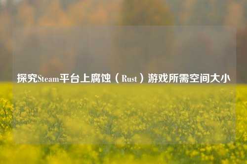 探究Steam平台上腐蚀（Rust）游戏所需空间大小