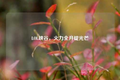 LOL峡谷，火力全开绽光芒