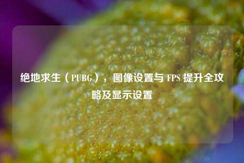 绝地求生（PUBG），图像设置与 FPS 提升全攻略及显示设置