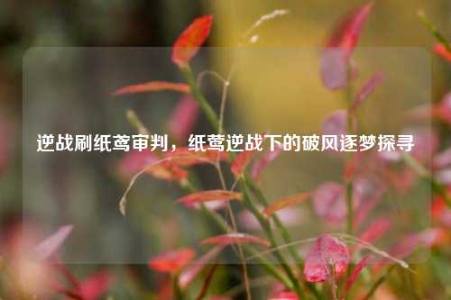 逆战刷纸鸢审判，纸莺逆战下的破风逐梦探寻
