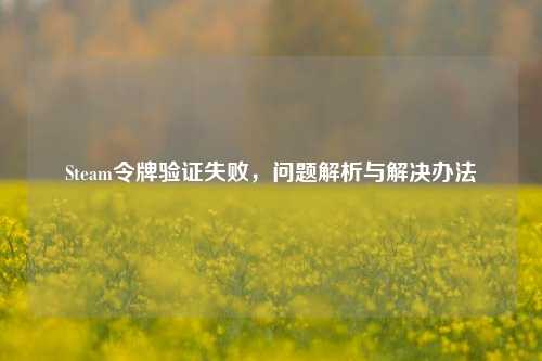 Steam令牌验证失败，问题解析与解决办法