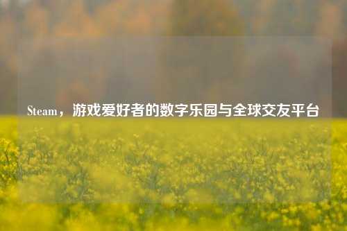 Steam，游戏爱好者的数字乐园与全球交友平台
