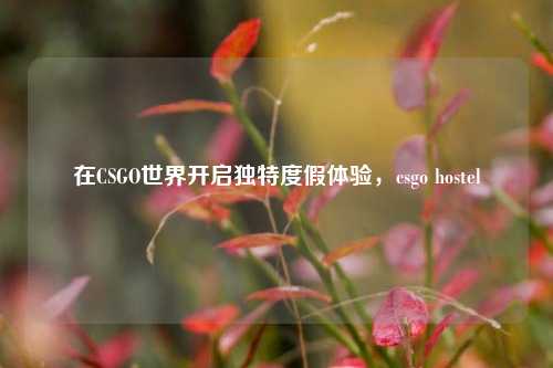 在CSGO世界开启独特度假体验，csgo hostel
