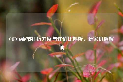COD16春节打折力度与性价比剖析，玩家机遇解读