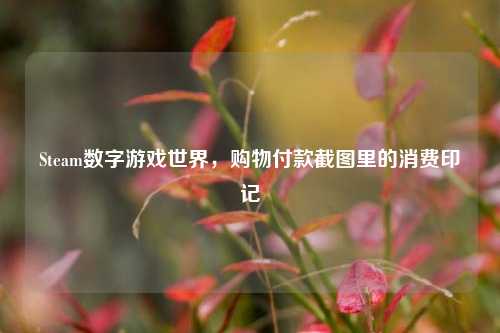 Steam数字游戏世界，购物付款截图里的消费印记