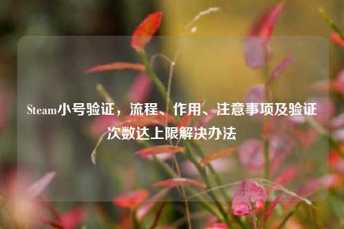 Steam小号验证，流程、作用、注意事项及验证次数达上限解决办法
