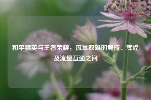 和平精英与王者荣耀，流量双雄的竞技、辉煌及流量互通之问