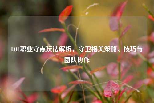 LOL职业守点玩法解析，守卫相关策略、技巧与团队协作