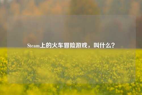Steam上的火车冒险游戏，叫什么？