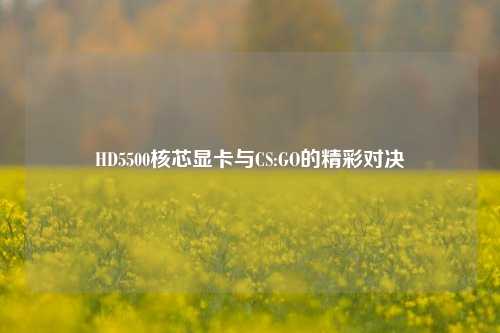 HD5500核芯显卡与CS:GO的精彩对决