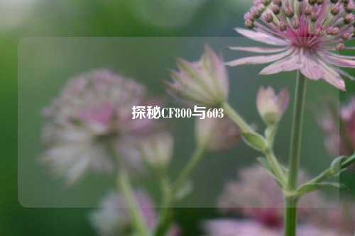 探秘CF800与603