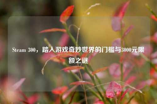 Steam 300，踏入游戏奇妙世界的门槛与3000元限额之谜