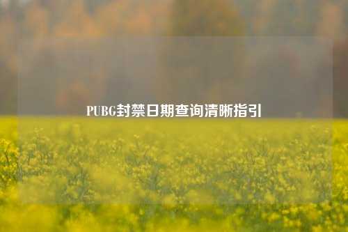 PUBG封禁日期查询清晰指引