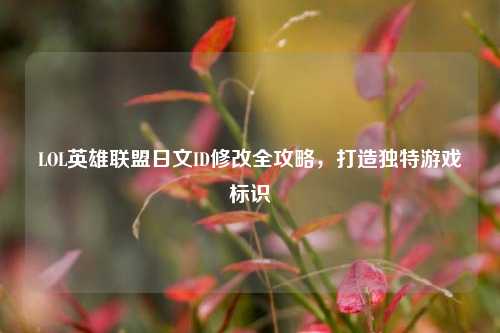 LOL英雄联盟日文ID修改全攻略，打造独特游戏标识