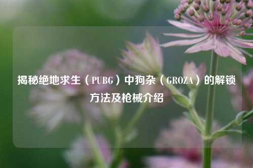 揭秘绝地求生（PUBG）中狗杂（GROZA）的解锁方法及枪械介绍