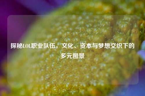 探秘LOL职业队伍，文化、资本与梦想交织下的多元图景
