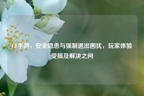 CF手游，安全隐患与强制退出困扰，玩家体验受损及解决之问