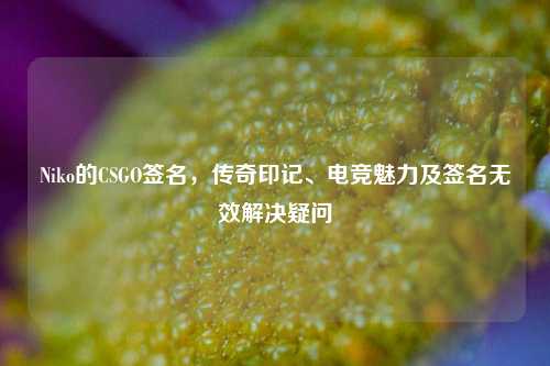 Niko的CSGO签名，传奇印记、电竞魅力及签名无效解决疑问