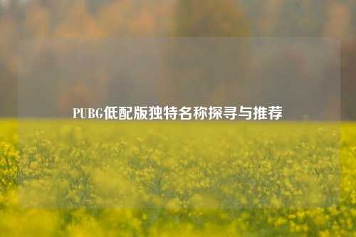 PUBG低配版独特名称探寻与推荐