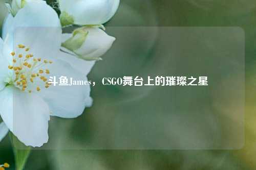 斗鱼James，CSGO舞台上的璀璨之星