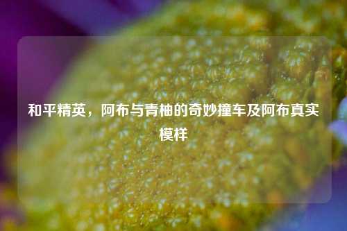 和平精英，阿布与青柚的奇妙撞车及阿布真实模样