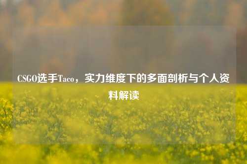 CSGO选手Taco，实力维度下的多面剖析与个人资料解读