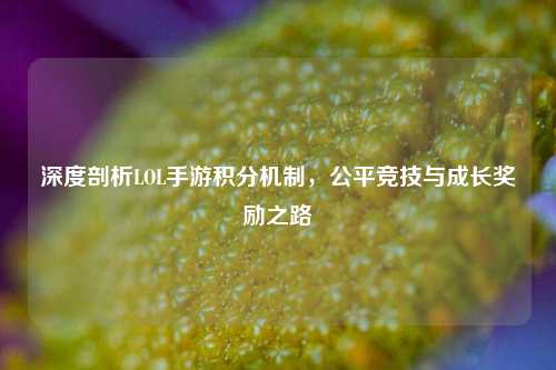深度剖析LOL手游积分机制，公平竞技与成长奖励之路
