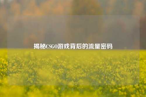 揭秘CSGO游戏背后的流量密码
