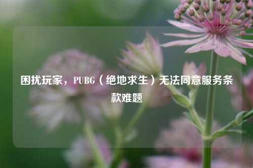 困扰玩家，PUBG（绝地求生）无法同意服务条款难题