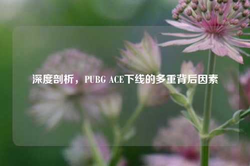 深度剖析，PUBG ACE下线的多重背后因素