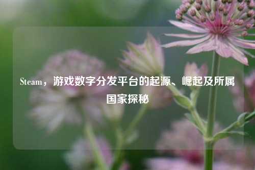 Steam，游戏数字分发平台的起源、崛起及所属国家探秘