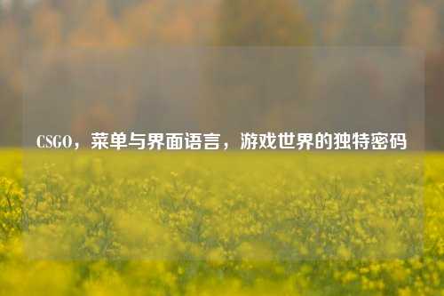 CSGO，菜单与界面语言，游戏世界的独特密码