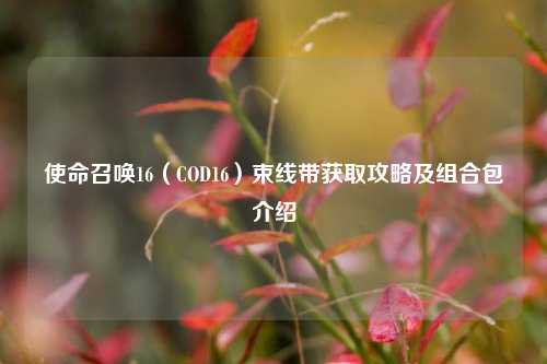 使命召唤16（COD16）束线带获取攻略及组合包介绍