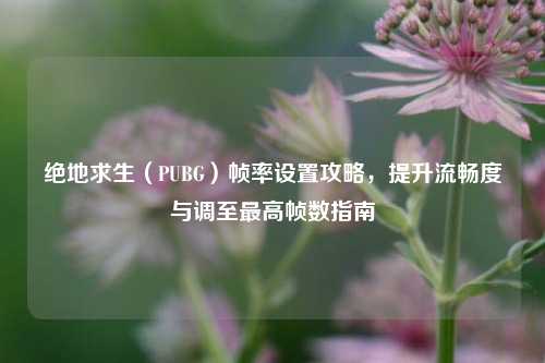 绝地求生（PUBG）帧率设置攻略，提升流畅度与调至最高帧数指南