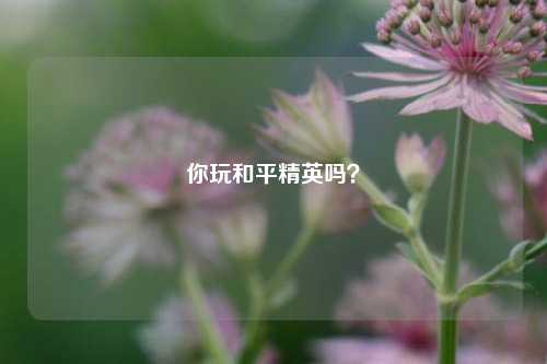 你玩和平精英吗？